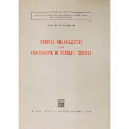 Profili organizzativi della concessione di pubblici servizi