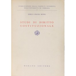 Studi di diritto costituzionale