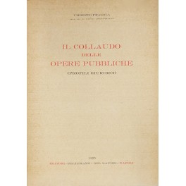 Il collaudo delle opere pubbliche