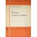 Principi di diritto pubblico