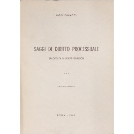 Saggi di diritto processuale