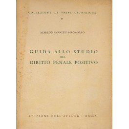 Guida allo studio del diritto penale positivo