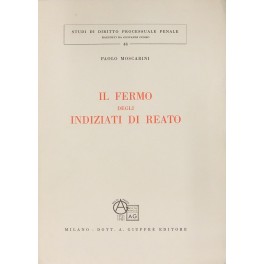 Il fermo degli indiziati di reato