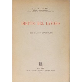 Diritto del lavoro. Corso di lezioni universitarie