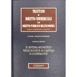 Il sistema monistico nelle società di capitali e cooperative