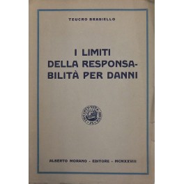 I limiti della responsabilità per danni