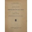 Istituzioni di diritto processuale civile. 