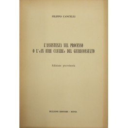 L'assistenza nel processo o l'in iure cavere del giureconsulto