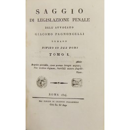 Saggio di legislazione penale