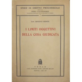 I limiti oggettivi della cosa giudicata