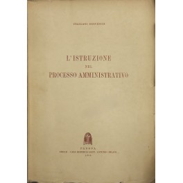 L'istruzione nel processo amministrativo