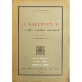 Il fallimento e le altre procedure concorsuali