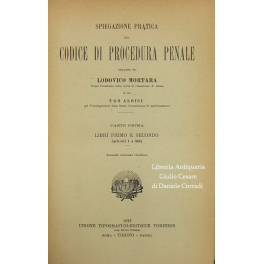 Spiegazione pratica del Codice di procedura penale