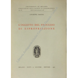 L'oggetto del processo di espropriazione