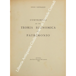 Contributo ad una teoria economica del patrimonio