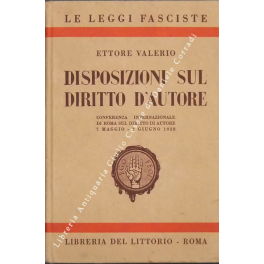 Disposizioni sul diritto d'autore. 