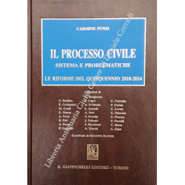 Il processo civile. Sistema e problematiche