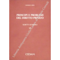 Principi e problemi del diritto privato