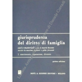 Giurisprudenza del diritto di famiglia