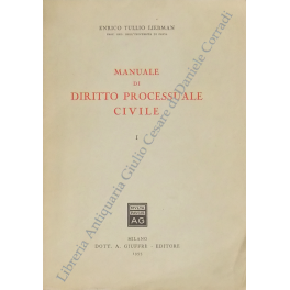 Manuale di diritto processuale civile