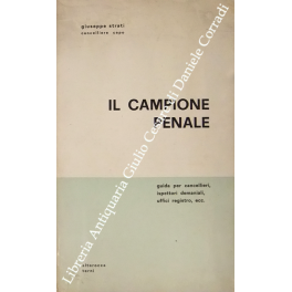 Il campione penale