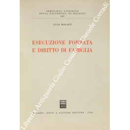 Esecuzione forzata e diritto di famiglia