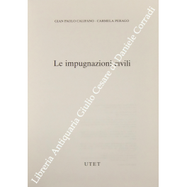 Le impugnazioni civili