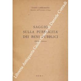 Saggio sulla pubblicità dei beni pubblici. Un'analisi introduttiva