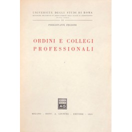 Aspetti dello status di giudice della Corte Costituzionale