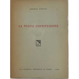 La nuova Costituzione