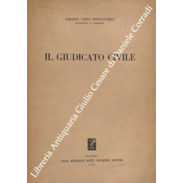 Il giudicato civile