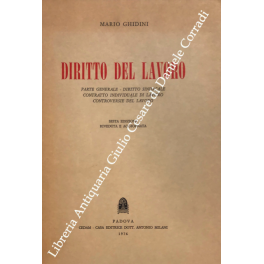 Diritto del lavoro. Parte generale - Diritto sindacale, contratto individuale di lavoro, controversie del lavoro