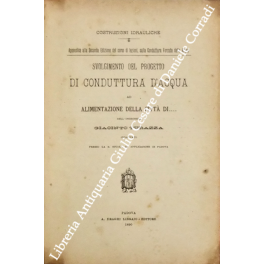 Svolgimento del progetto di conduttura d'acqua a alimentazione della città di...