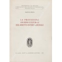 La protezione dei beni culturali nel diritto internazionale