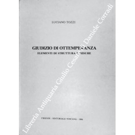 Giudizio di ottemperanza